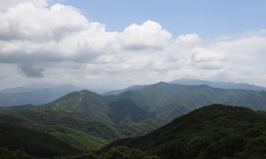 Anos Depois Da Guerra Natureza Vibra Na Zona Desmilitarizada Entre