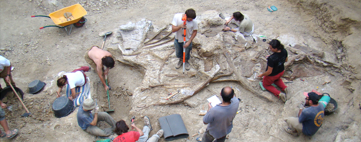 Cientistas Descobrem Nova Esp Cie De Dinossauro Que Viveu Na Pen Nsula