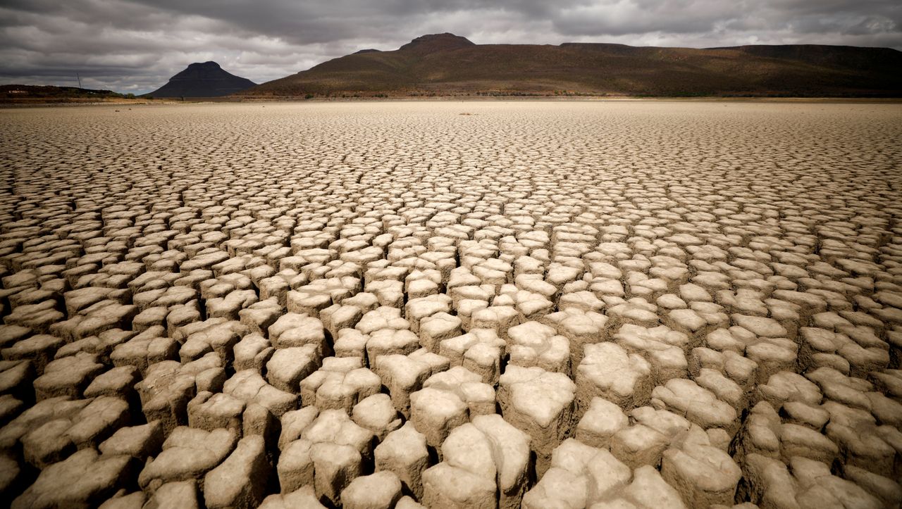 Dia Da Desertificação E Seca Transformar Terras Degradadas Em Saudáveis Para Salvar O Planeta 