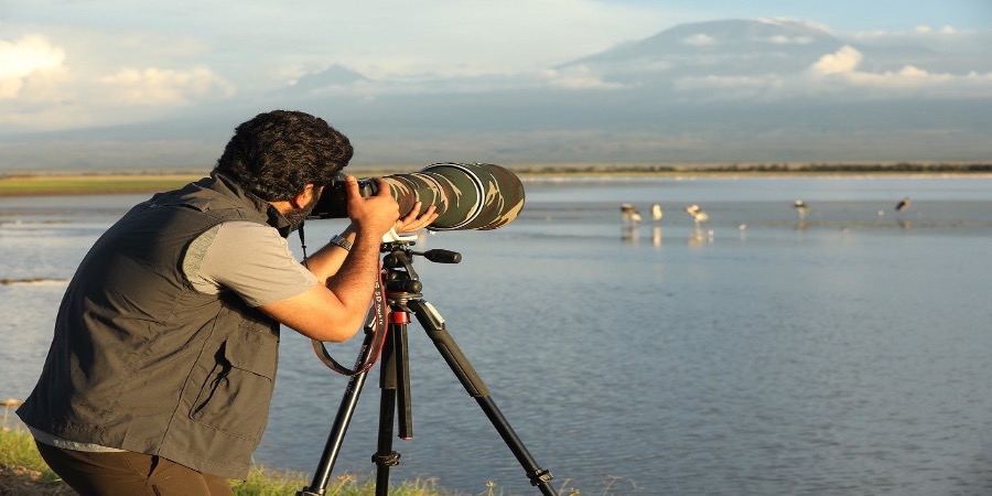 Wildlife Photographer of the Year: uma das fotografias divulgadas é de um português