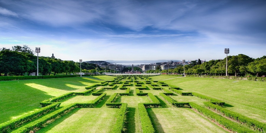 Programa SOL Green Capital quer tornar Lisboa mais verde e sustentável