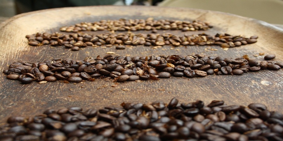 Plano Nescafé apresenta objetivos sustentáveis atingidos pela empresa e planos para o futuro