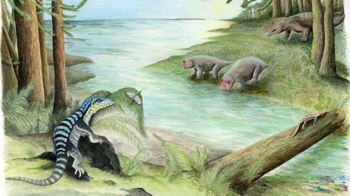 Antes dos dinaussauros, este lagarto reinava na Antárctida