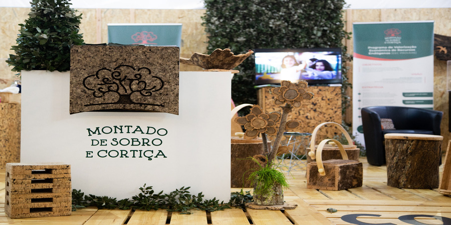 Montado de Sobro e Cortiça anuncia concurso de criatividade e empreendedorismo