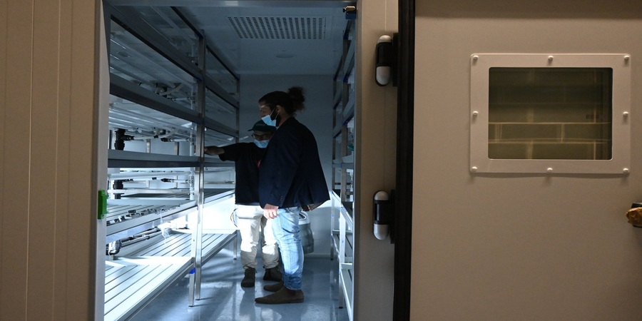 Bios Urban Farm: o projeto inovador que vai nascer na Nova SBE