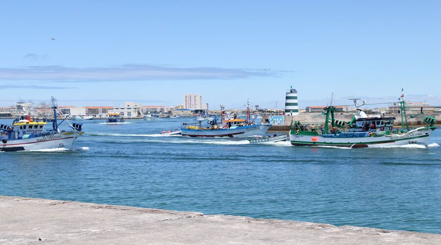 Politécnico de Leiria cria projeto para otimizar a gestão dos recursos pesqueiros marinhos
