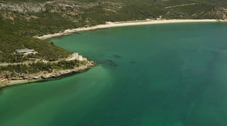 Áreas marinhas protegidas garantem maior diversidade, abundância e tamanho de peixes, confirmam estudos