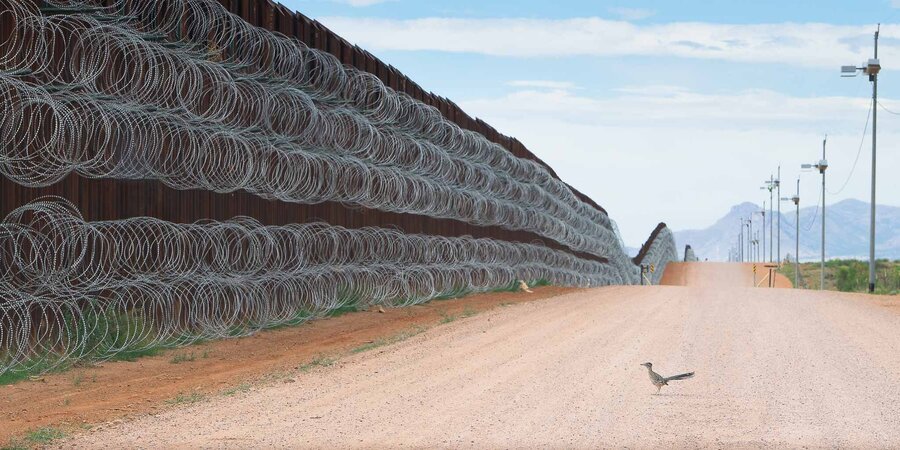 Estas são as melhores fotografias de aves de 2021