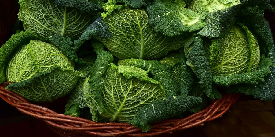 Freguesia do Areeiro vai passar a ter um mercado de agricultura biológica