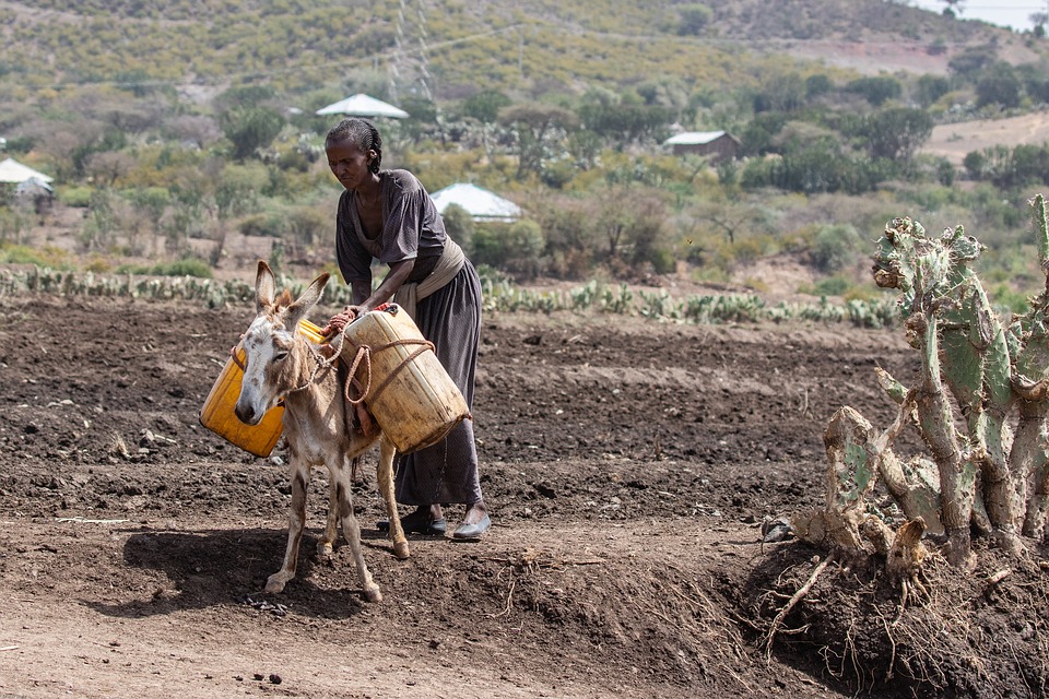 altera-es-clim-ticas-alimentam-crises-de-sa-de-no-corno-de-frica