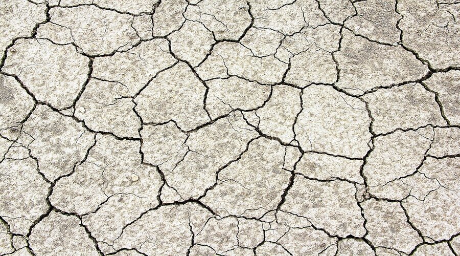 Está manhã “a terra treme”. Sabe o que deve fazer?