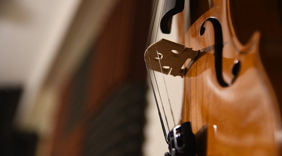 Concerto conferência da Orquestra Metropolitana é dedicado às alterações climáticas