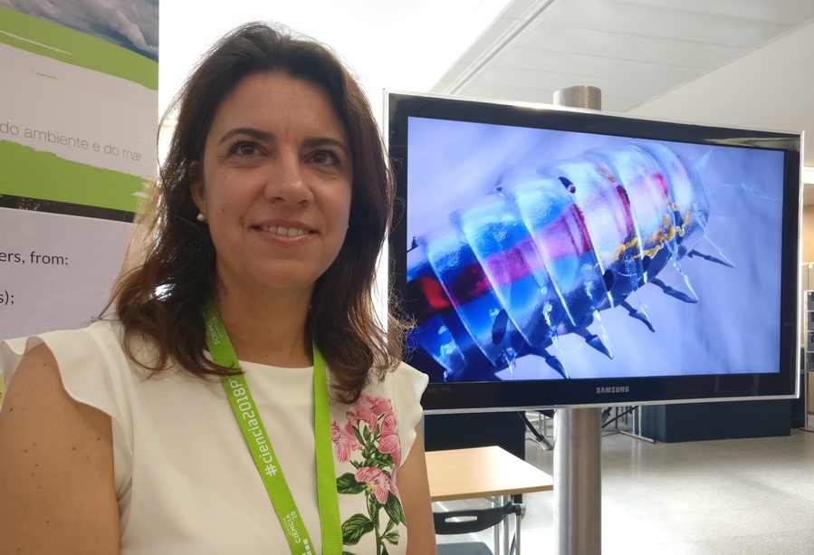 Mercúrio está presente nas mulheres grávidas de Aveiro, alerta bióloga