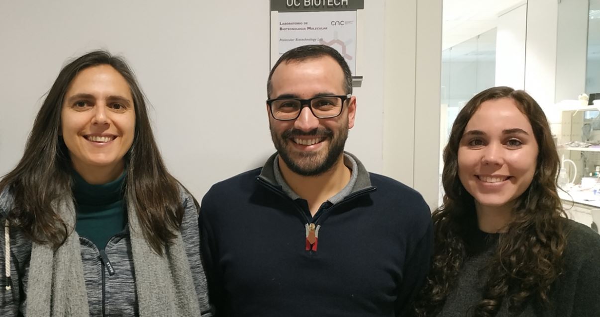 Cientistas da Universidade de Coimbra estudam bactéria transmitida por carraças