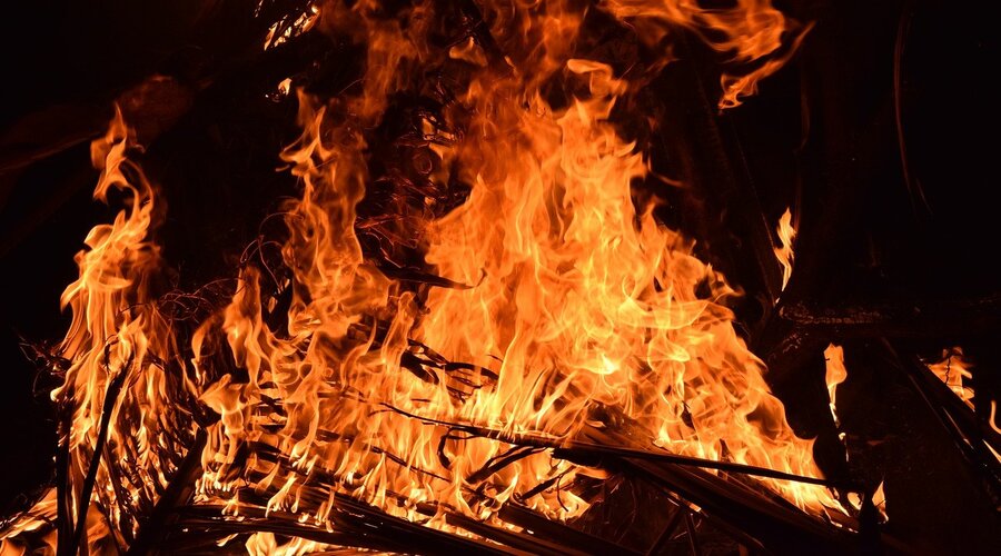 PAN quer mais investimento na prevenção de incêndios