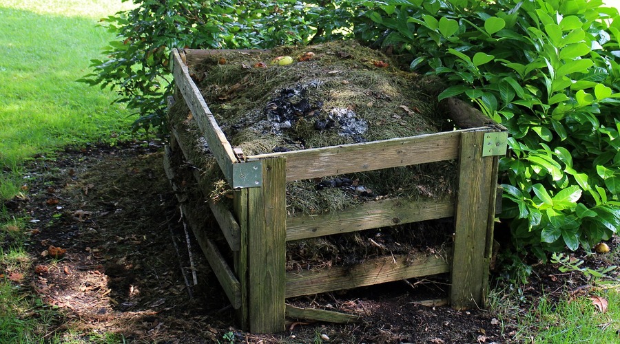 ZERO promove compostagem nos municípios através de webinar