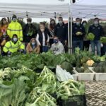 “Verdes Solidários” doa mais de uma tonelada de legumes frescos e biológicos a cerca de 1500 famílias carenciadas