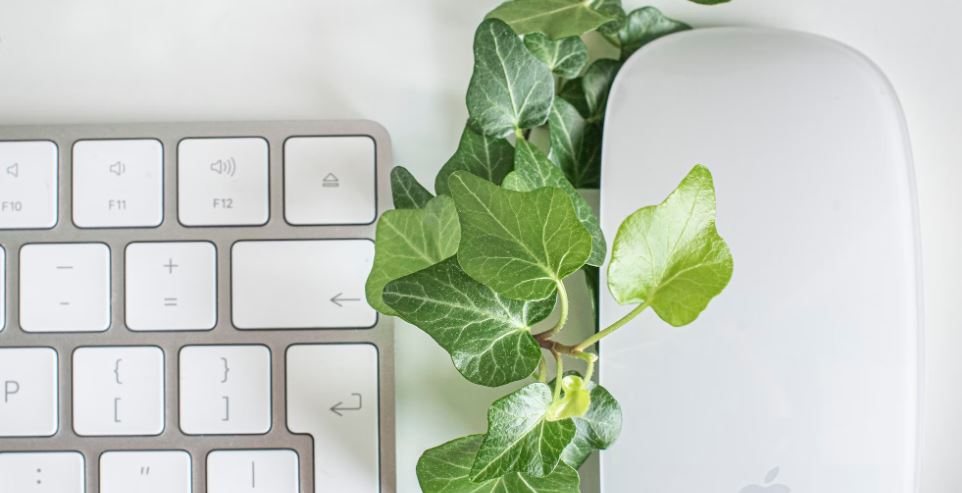 A transformação digital como aliada da sustentabilidade