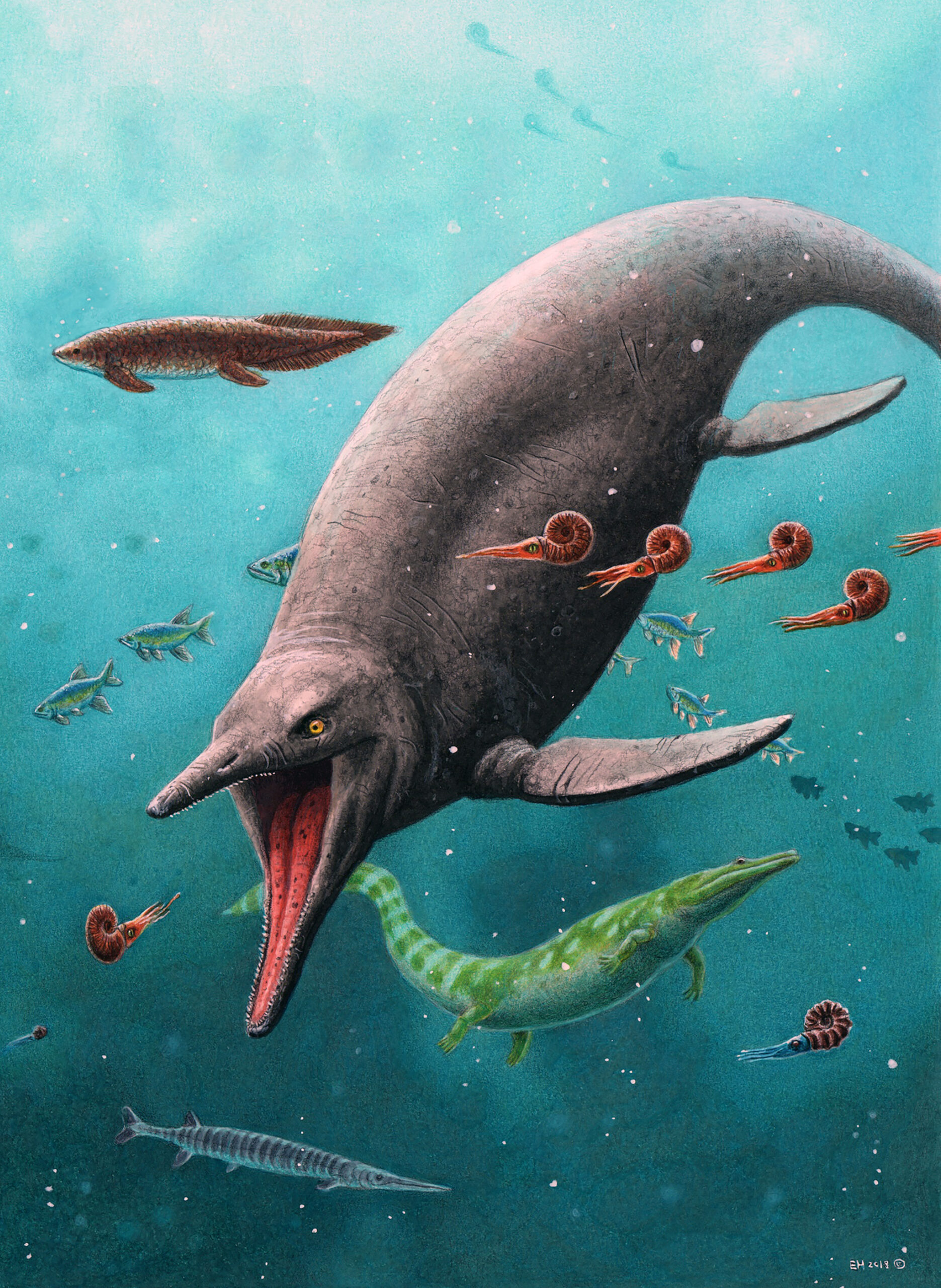 Se cree que un fósil del Ártico es uno de los primeros ‘dinosaurios marinos’ descubiertos