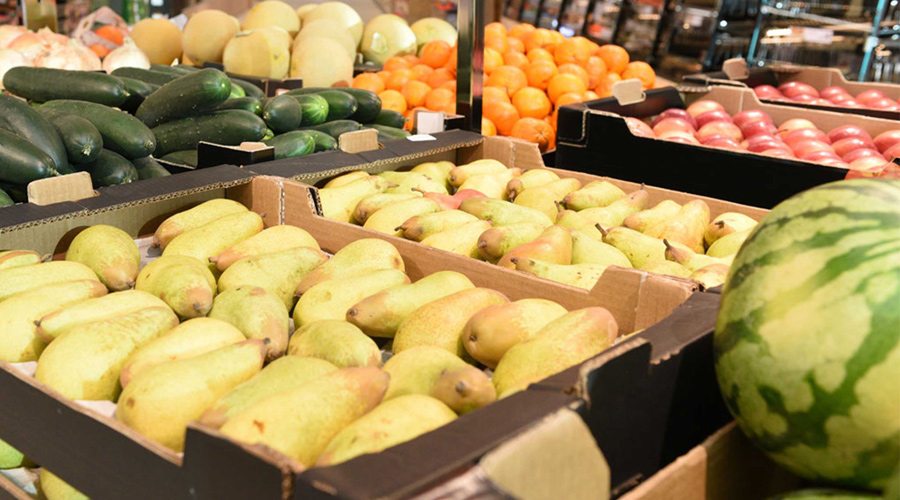 Investigadores criam “vacina” para proteger frutos e legumes de doenças fúngicas