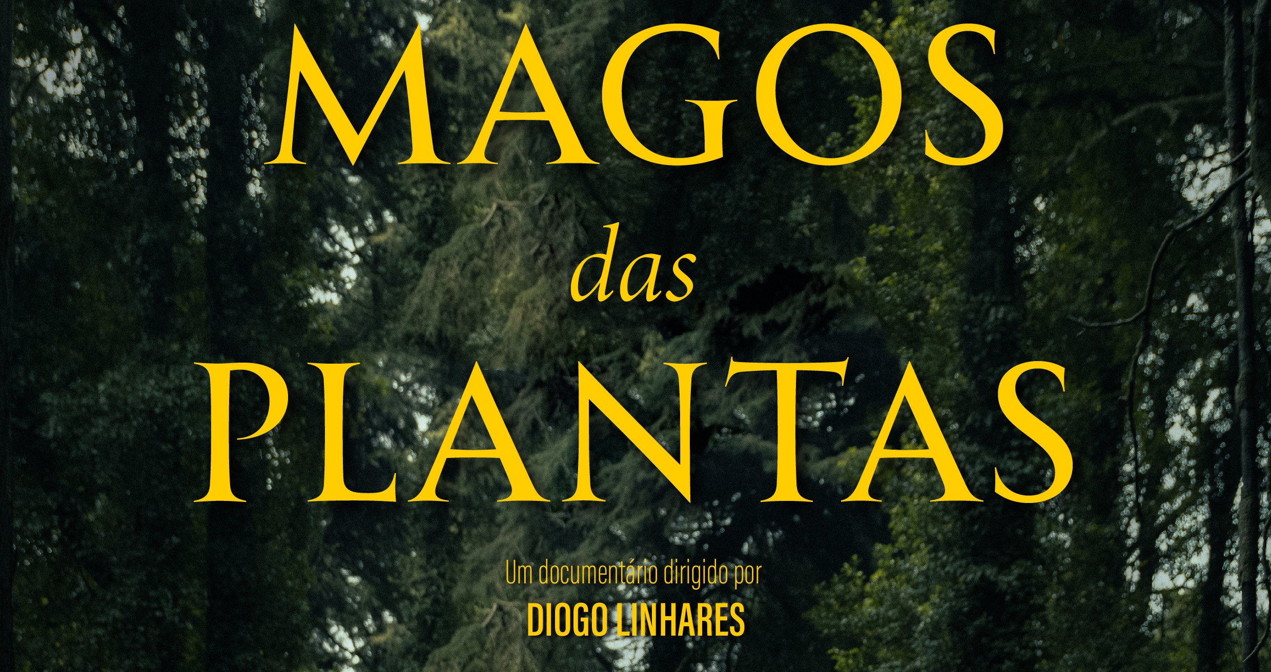 “Magos Das Plantas”: documentário sobre a natureza e o amor incondicional estreia a 27 de maio
