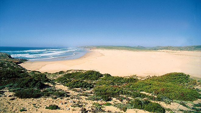 Desconhecida origem de duas espécies de moscas que só existem na Carrapateira no Algarve