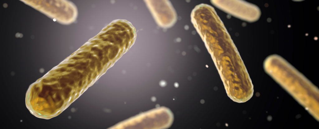 Diferenças nas bactérias intestinais podem ser os primeiros sinais de alerta da doença de Alzheimer