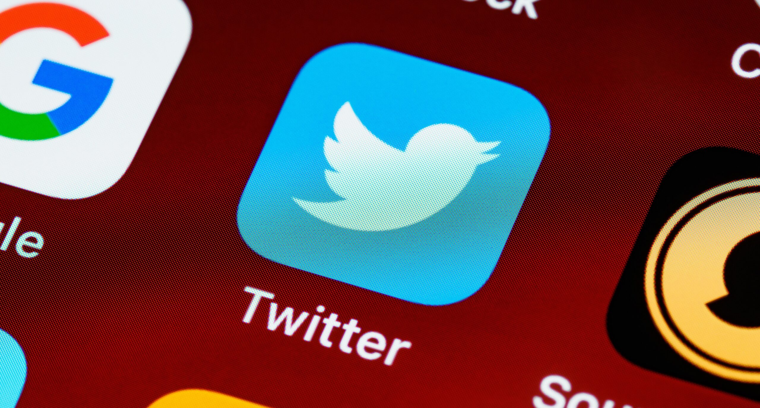 Quase 50% dos ambientalistas abandonaram o Twitter após a aquisição de Elon Musk