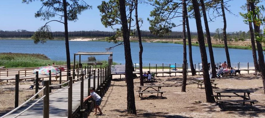 Leiria Sobre Rodas compensa poluição com reflorestação de cerca de 10 hectares
