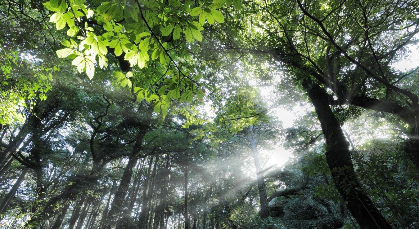Sintra recebe 13 galardões Green Key