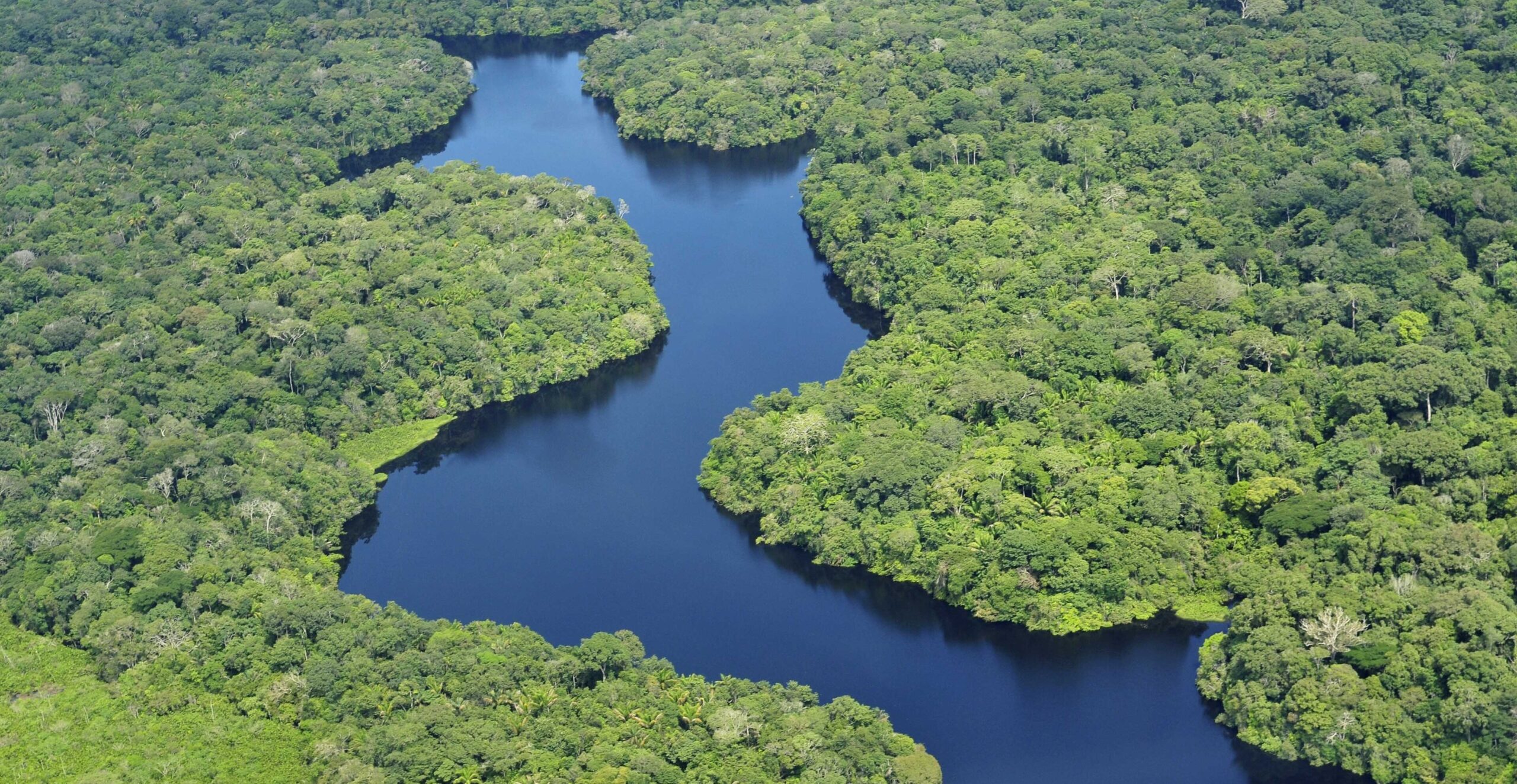 Alterações climáticas ameaçam património cultural e ecológico dos povos indígenas da Amazónia