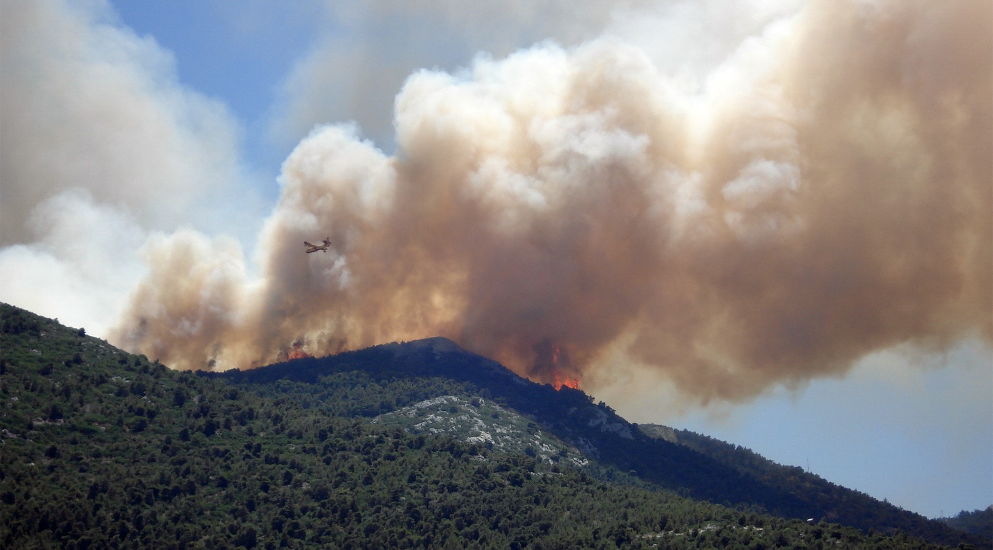 Incêndios: Queimas e queimadas na origem da maior parte dos fogos até 15 de agosto